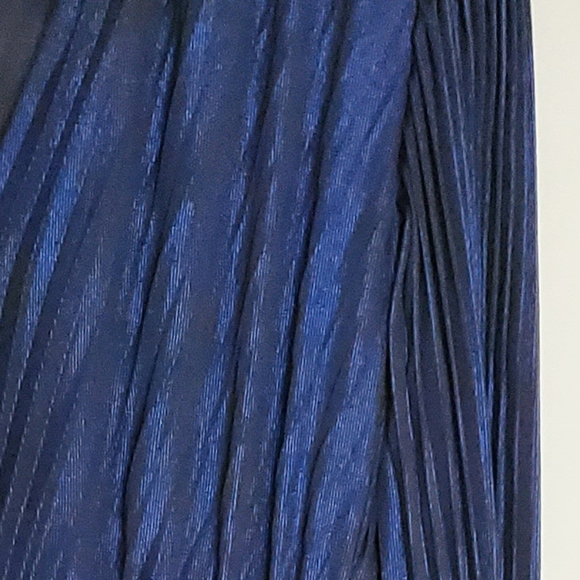 Express Metallic Pleated Dress - Picture 5 of 5